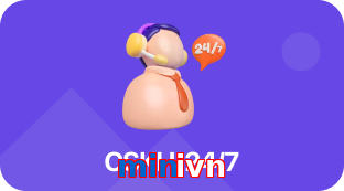 minivn